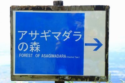 びわ湖バレイ びわ湖テラス へ行ってきた 割引券 クーポン券は まっちゃんの 子どもの遊び場 インフォ