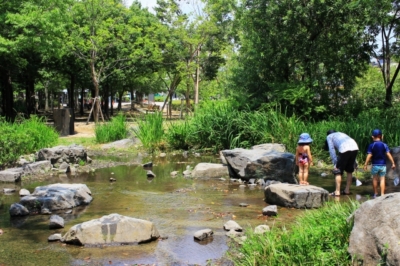 西山茉希 大学