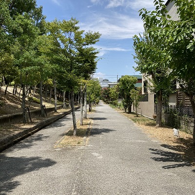 近鉄高の原駅からジュノパークへの行き方