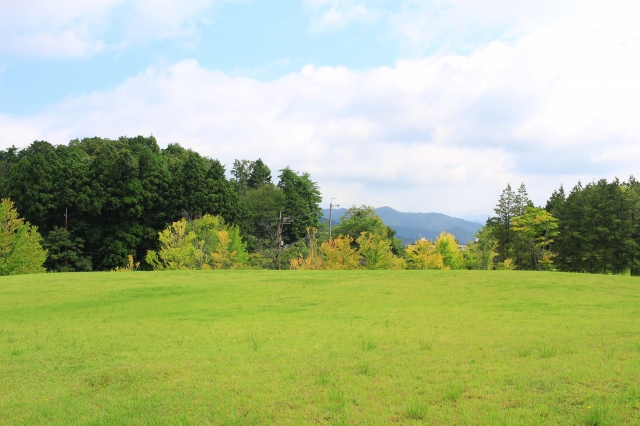 丹波自然運動公園