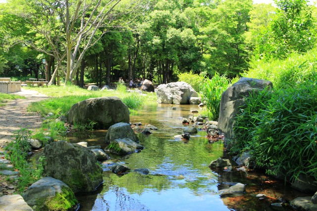 梅小路公園