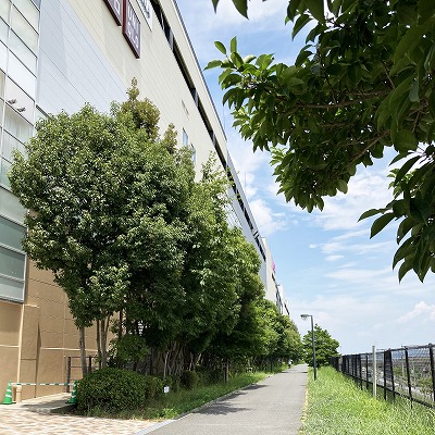 近鉄高の原駅からジュノパークへの行き方
