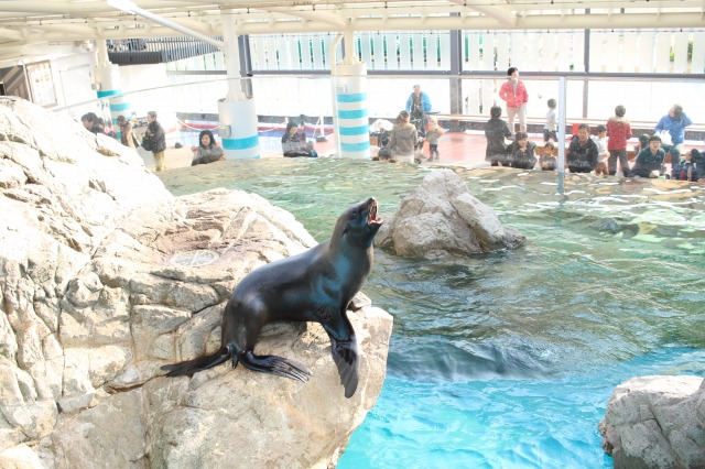 京都水族館