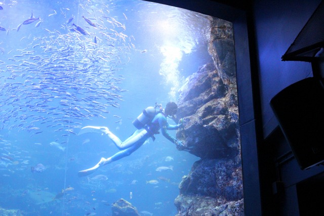 京都水族館
