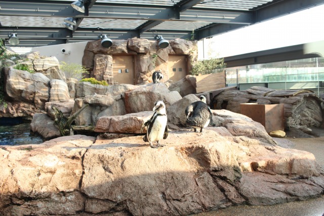 京都水族館