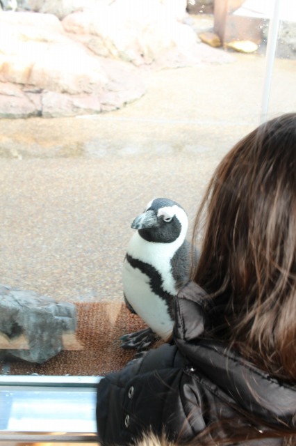 京都水族館