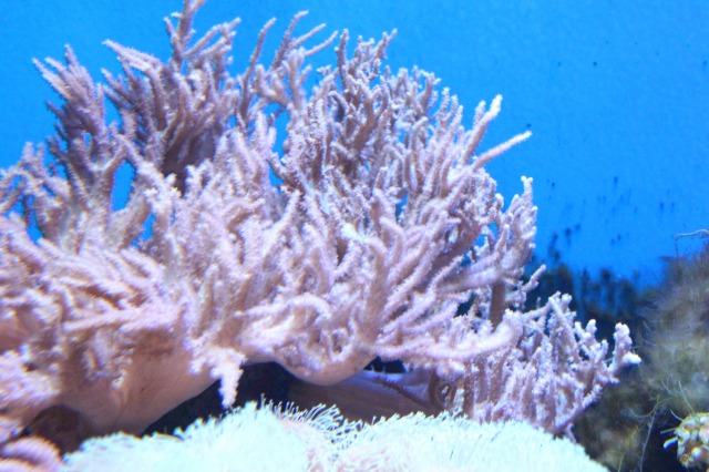 京都水族館
