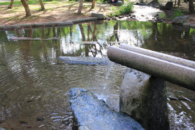 梅小路公園