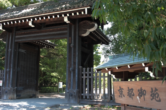 出水の小川
