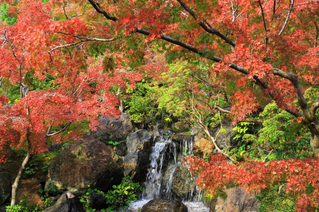 けいはんな記念公園