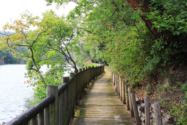 けいはんな記念公園