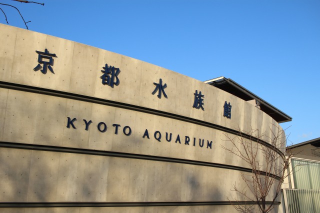 京都駅から京都水族館への行き方