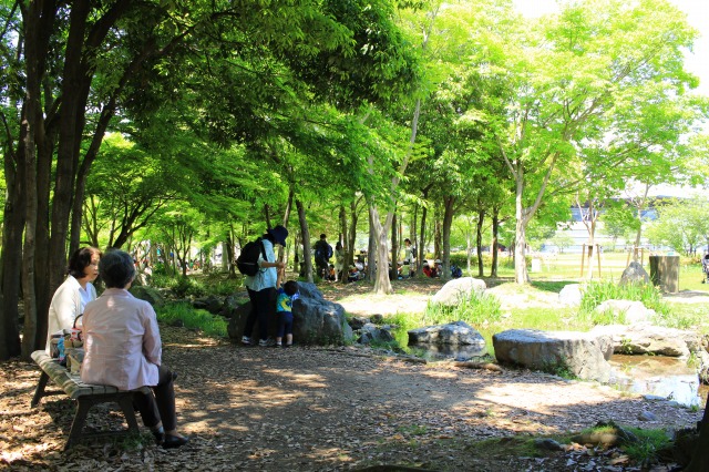 梅小路公園