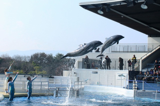 京都水族館